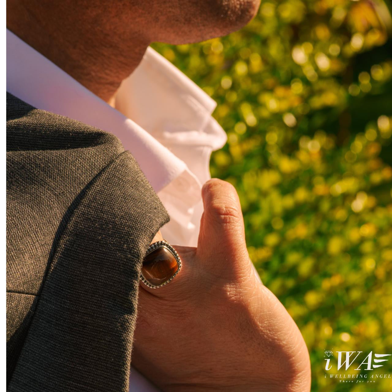 Tiger Eye Oval Deux Ring Silver Jewellery
