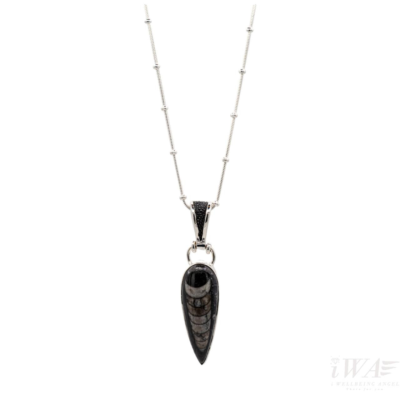 Orthoceras Drop Pendant Silver Jewellery