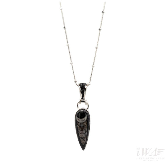 Orthoceras Drop Pendant Silver Jewellery