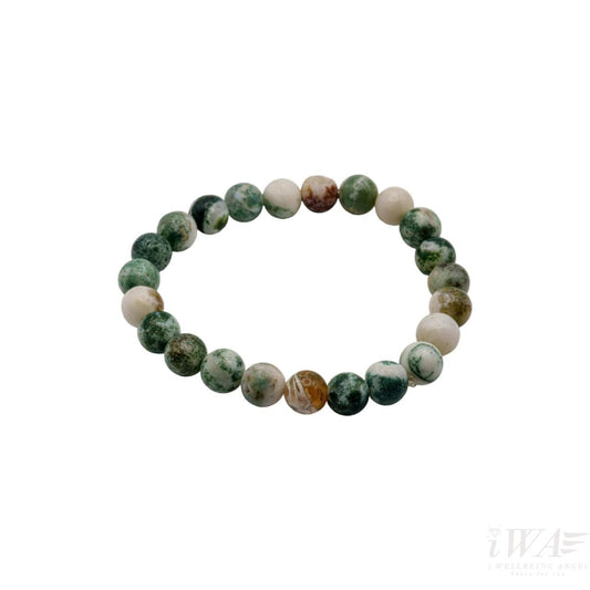 Tree Agate Crystal Bracelet 8mm